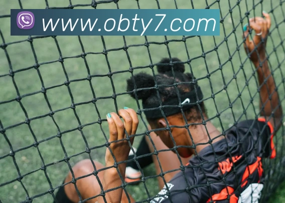 ob欧宝官网APP 封面图